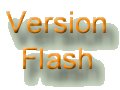 Version Flash